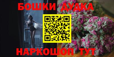 сатива Аргун