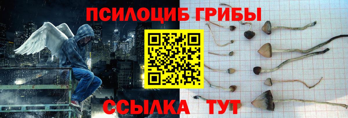 Псилоцибиновые грибы Psilocybine cubensis  Вход с VPN  Лиски 