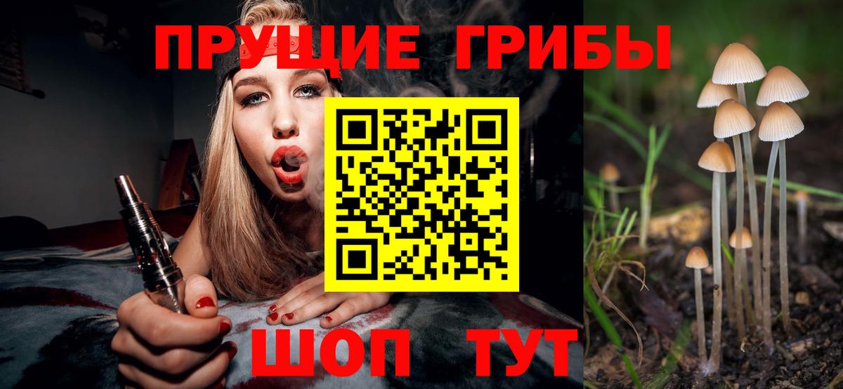 Галлюциногенные грибы Psilocybe Лиски