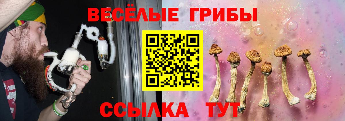 Галлюциногенные грибы GOLDEN TEACHER  Лиски  Галлюциногенные грибы Psilocybe 